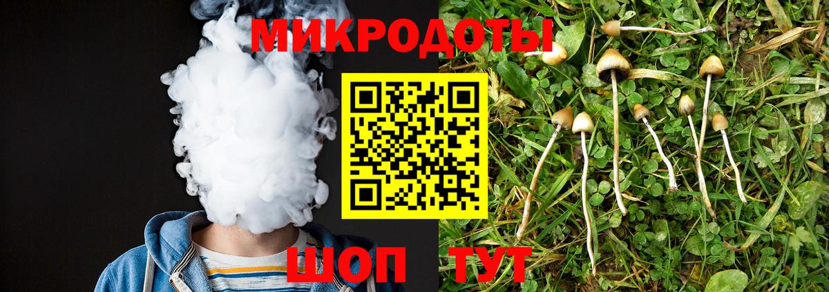 Скопин  Псилоцибиновые грибы мицелий  Вход с VPN 